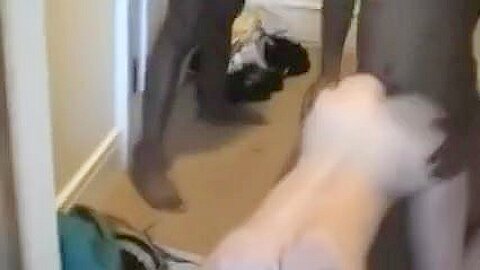 frau team-gefickt von bbc - free porn video