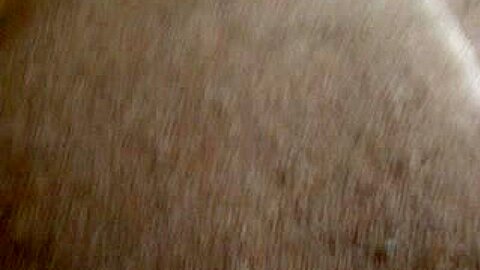 Ebenholz Schlampe wird auf der couch genagelt - free porn video