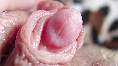 Milf Mit Haariger Muschi neckt ihren schleimigen Kitzler Ultra-Nahaufnahme - free porn video