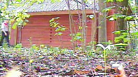 Europäischer Porno 2014092906 - Quickie erlebt Sex bei der Hochzeit. 2014092906 - Schnelle Nummer - free porn video