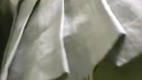 Zipang 3240 weißer Bogenstraßenengel "Uniformrock" Vol.1 - free porn video