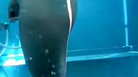 Bräunlich gesäumter Arsch in all seiner Schönheit in der Strandkabinenkamera - free porn video