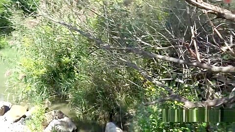 Outdoor Deutsch Fick - free porn video