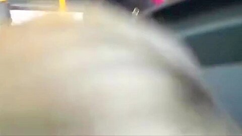 Meine Freundin und ihre Stiefmutter blasen im Bus - free porn video