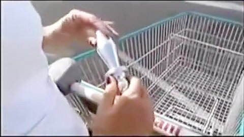 Shoppen mit Buttplug im Arsch - free porn video