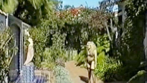 Annette Schwarz - free porn video