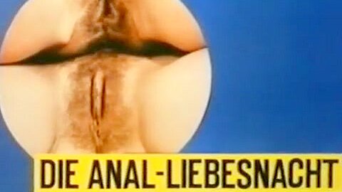 Die Anal Liebesnacht - free porn video